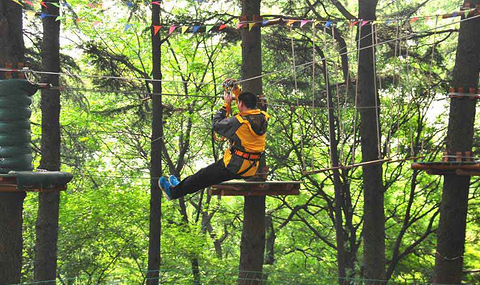 南京门票 冒险森林  [江苏 &bull;南京 &bull;玄武区] 景区地址:江苏