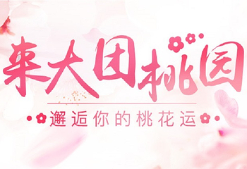 南汇大团桃园第 1 张图片