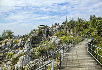 丫山花海石林第 29 张图片