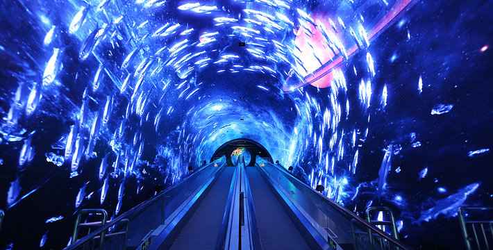 正佳极地海洋世界