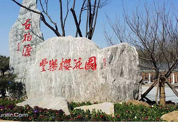 古柏渡丰乐樱花园第 8 张图片