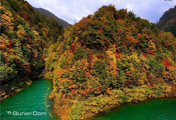彩山四季花海第 19 张图片
