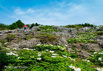 丫山花海石林第 28 张图片