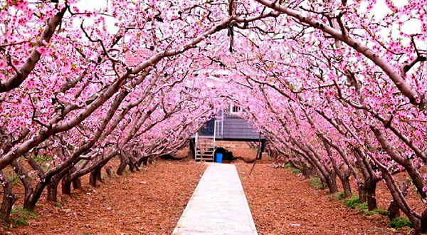龙泉花果山风景区