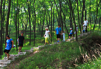 跑马岭生态休闲度假区第 19 张图片