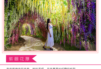 萤火虫奇趣体验馆第 2 张图片