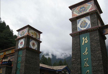 措木及日第 4 张图片