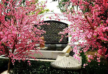 郑州银基黄帝宫御温泉第 28 张图片
