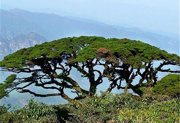 大瑶山第 2 张图片