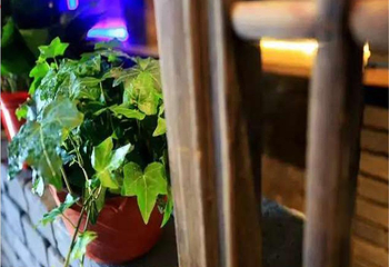 开封城墙第 17 张图片