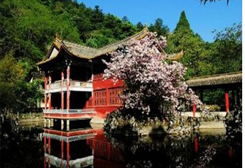 华亭寺第 6 张图片