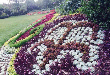 洛阳台湾▪花博园第 7 张图片
