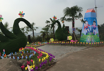 宜宾龙腾花舞风景区第 5 张图片