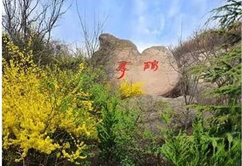 鹤山风景区第 5 张图片