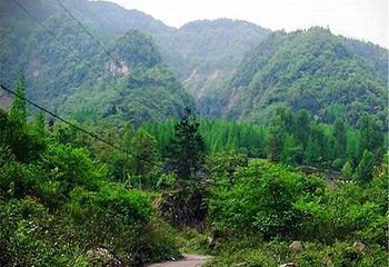 什邡蓥华山风景区第 10 张图片