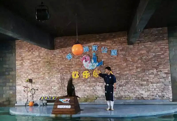 南昌海洋公园第 25 张图片