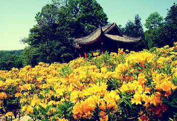 丹景山第 7 张图片
