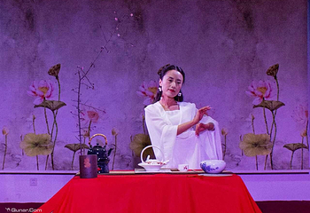 茶舞之韵第 3 张图片