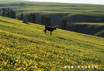 喀拉峻景区第 13 张图片