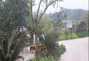 梨花溪风景区第 3 张图片