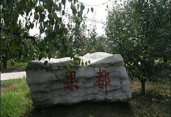 果都大观园第 2 张图片