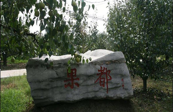 包含景点: 丰县果都大观园 去哪儿价                  暂无