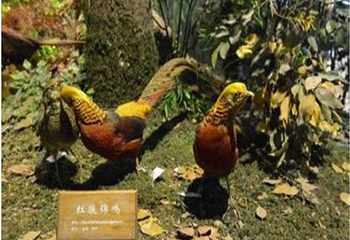 秦岭人与自然博物馆第 12 张图片