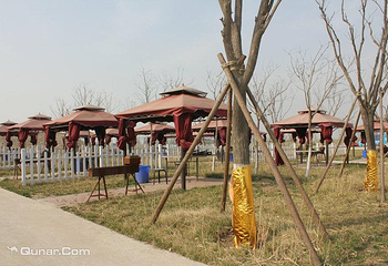 乐乐岛湿地公园第 4 张图片