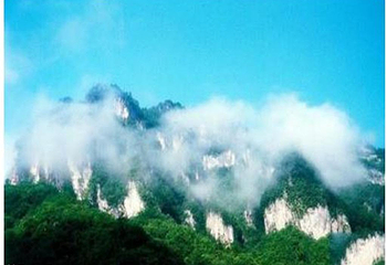 光雾山桃园第 2 张图片