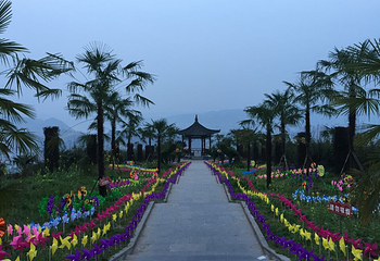 宜宾龙腾花舞风景区第 1 张图片