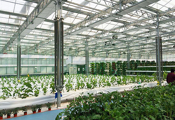 南和农业嘉年华第 9 张图片