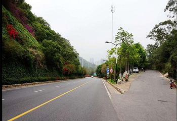 怪坡第 4 张图片