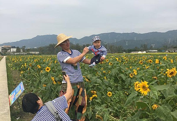 奇奇农乐园第 6 张图片