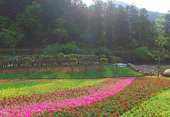 江西鹰潭圣井山景区第 10 张图片