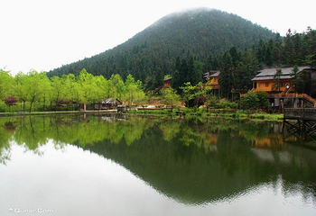 白马山第 4 张图片