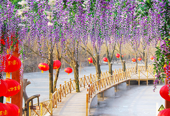 雪山彩虹谷旅游区第 2 张图片
