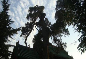 阳台宫第 4 张图片