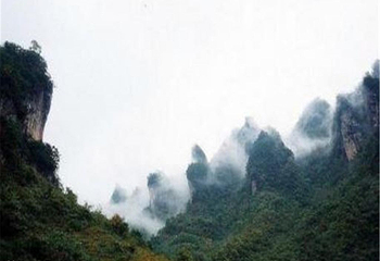 光雾山桃园第 4 张图片