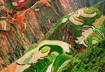 东川红土地第 3 张图片