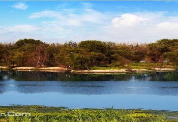 西安浐灞国家湿地公园第 5 张图片