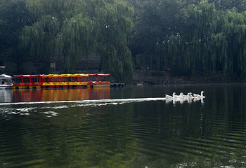赵王欢乐谷灯光节第 8 张图片