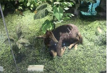 秦岭人与自然博物馆第 13 张图片