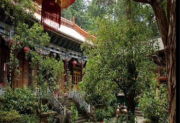 感通寺第 11 张图片