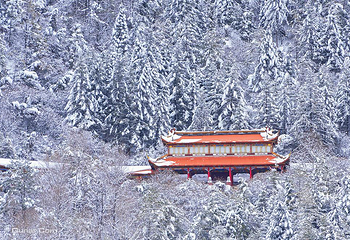 康定跑马山风景区第 12 张图片