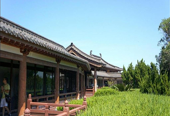 不肯去观音院第 8 张图片