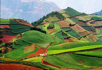 东川红土地第 5 张图片