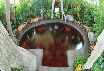 东方华地城湿地风景区第 6 张图片