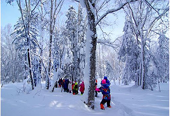 林海雪原国际旅游度假区第 6 张图片