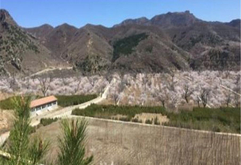 核桃庄园第 4 张图片