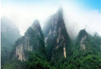 光雾山桃园第 6 张图片
